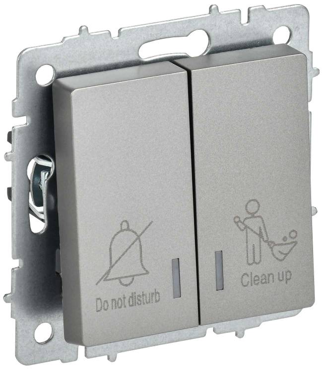 Выключатель 2-клавишный IEK Brite BR-V20-2-10-K46 сталь