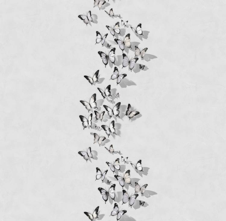 Обои Victoria Stenova Incanto 589276