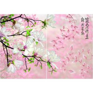 Панно Cersanit Digio DG2M012DT Tanuki 35x50