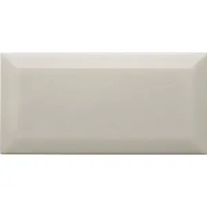 Керамическая плитка Adex Neri ADNE2052 Biselado Pb Silver Mist 10x20