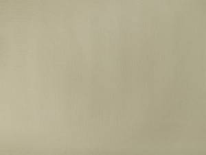 Обои Elysium Юнона Е89906