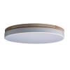 Потолочный светодиодный светильник Loft IT Axel 10001/36 white фото 2