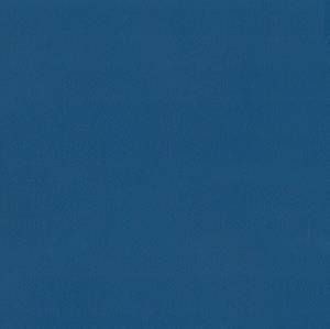 Линолеум Tarkett Omnisports Speed (Омниспортс Спид) Royal Blue (Роял Синий) (рулон: 2x20.5=41 м2)