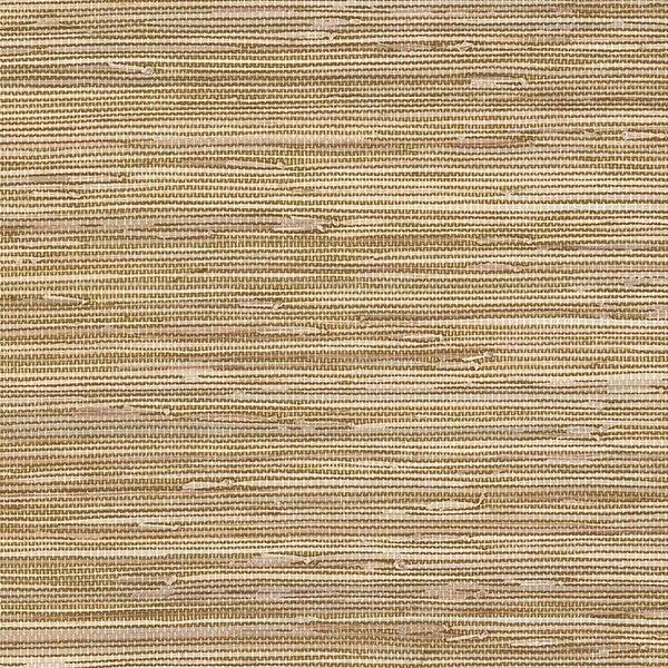 Обои бумажные Aura Texture Style BG21536