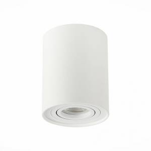 Потолочный светильник ST Luce Torus ST108.517.01