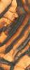 Керамогранит Fondovalle Infinito 2.0 INF3423 Tiger All-Light Polished Ret 120x278 фото 3