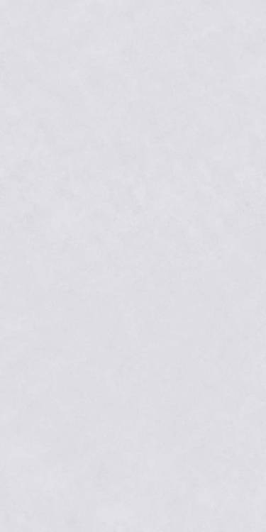 Керамогранит Vizavi Ceramica Монолит MNLIT-11M\B12503 Матовый 60x120
