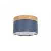 Накладной светодиодный светильник Loft IT Grape 10162 Blue