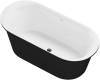 Акриловая ванна Aquanet Family Smart 170x78 88778 Gloss Finish (панель Black matte) фото 4