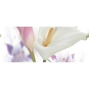 Панно Ceradim Sano КПН17SanoC Dec Panno C 20x50