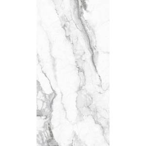 Керамогранит A-Ceramica 246738 Carlo Polished 80x160