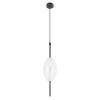 Подвесной светодиодный светильник Loft IT Venice 10223/E White фото 3