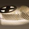 Светодиодная лента Arlight 36W/m 350LED/m 2835SMD белый 2,5M 019082(B) фото 4