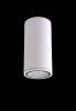 Потолочный светильник Crystal Lux Clt 138C180 Wh