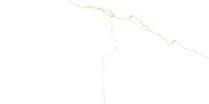 Керамогранит Prissmacer Bianco Mare Gold Luxglass Rect 60x120