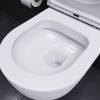 Унитаз подвесной Damixa Sirius DX86C1700SC с микролифтом фото 6