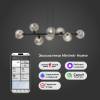 Подвесной светильник Eurosvet Roger 70113/8 дымчатый Smart фото 5