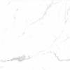 Керамогранит Steppe Ceramics Statuario White 59x59