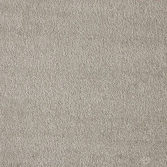 Ковролин AW Seduction 45 LC (рулон: 4x104=416 м2)