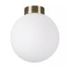 Настенно-потолочный светильник Lightstar Globo 812021