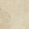 Керамогранит Italon Вандефул Лайф 610010002156 Алмонд Рет 80x80