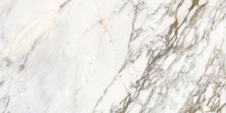 Керамогранит Laparet Calacatta Roma Полированный 60x120