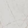 Керамогранит Arcadia Ceramica Valencia CR6018-A Silver Grey Carving 60x60