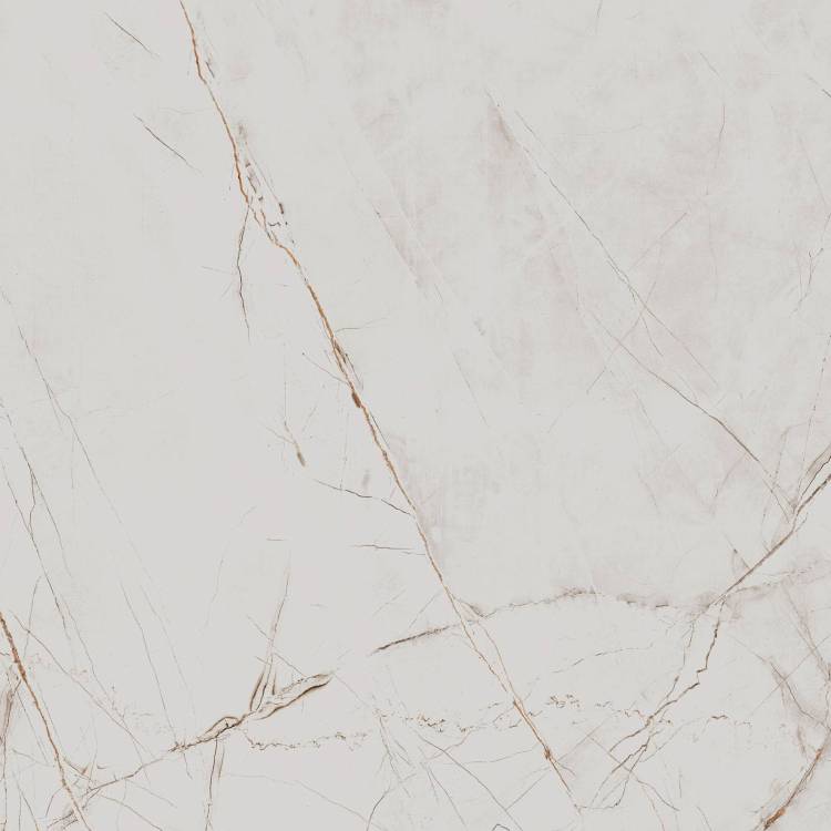 Керамогранит Arcadia Ceramica Valencia CR6018-A Silver Grey Carving 60x60