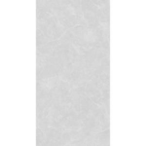 Керамогранит Arcadia Ceramica Oviedo SL1003-A Silver Solido 60x120