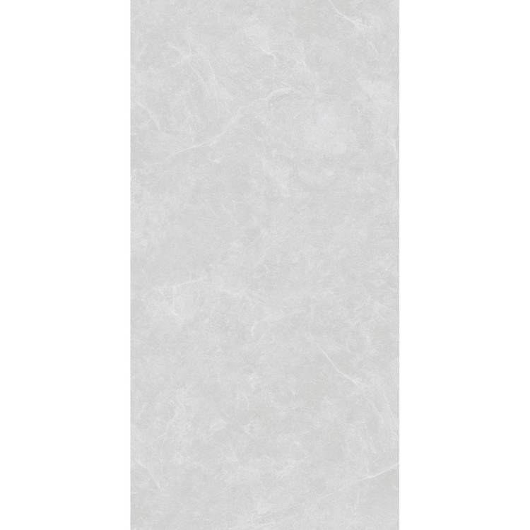 Керамогранит Arcadia Ceramica Oviedo SL1003-A Silver Solido 60x120