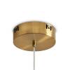 Подвесной светильник Freya Led FR6138PL-L44BS фото 7