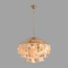 Подвесная люстра Lumion Shella 8386/6 фото 4