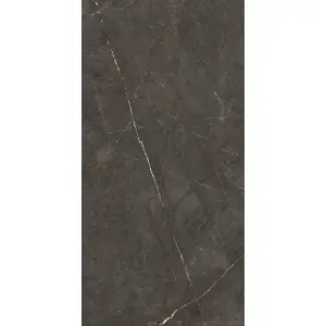 Керамогранит Ariostea Marmi Classici New Pulpis Grey Soft 60x120