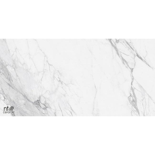 Керамогранит NT Ceramic Marmo NTT99527C Artic Statuario Carving 60x120