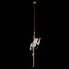 Подвесной светильник Loft IT Monkey 10314P фото 4