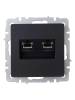 Розетка компьютерная RJ45 2-местная IEK Brite BR-K20-2-K02 черный фото 2