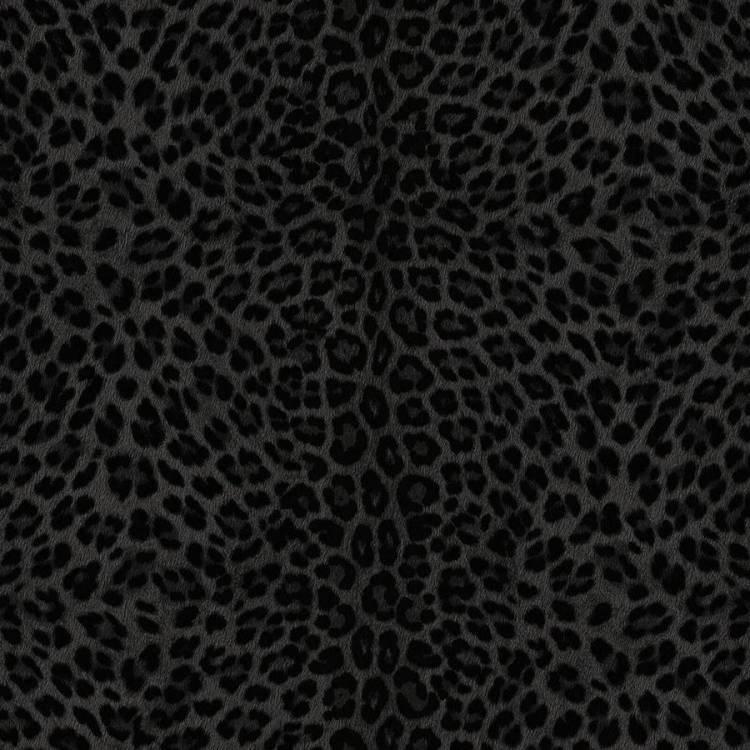 Обои Zambaiti Parati Philipp Plein 2 Z81031