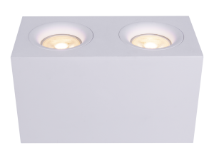 Потолочный светильник Technical Slim C013CL-02W