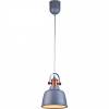 Подвесной светильник Lucia Tucci Industrial 1820.1 Sand Silver