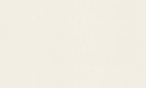 Обои виниловые Rasch Vitrage 975512