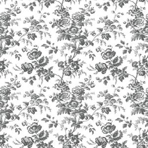 Обои York Collections Toiles Resource Library RT7875