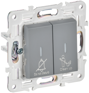 Выключатель 2-клавишный IEK Skandy SK-V20-2-10-K03 серый