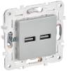 Розетка USB type A+A IEK Skandy SK-U21-D31-K23 серебряный