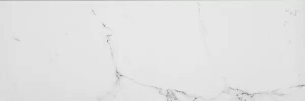 Керамическая плитка  Porcelanosa Marmol Carrara 100291740 Blanco 33.3x100