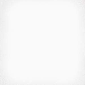 Керамогранит VIVES 1900 Blanco g.136 20x20