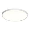 Настенно-потолочный светильник Sonex Alfa White 7659/40L