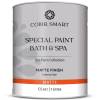 Краска на водной основе Color Smart Special Paint Bath & Spa CS 621 WH/PB 3 л
