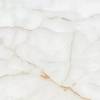 Керамогранит Colortile Ice Land Glossy 60x60 фото 2