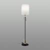 Торшер Odeon Light Modern 5410/1F фото 5