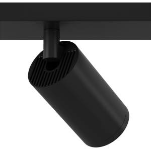 Потолочный светильник Technical Ceiling C051CL-2B